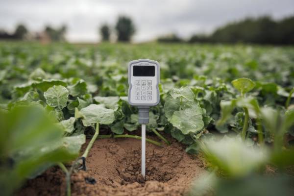 IoT-Enabled Fence Monitoring for Agricultural Land